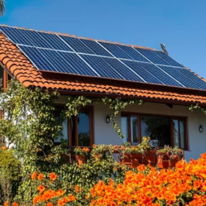 Screenshot 2024-09-16 064205 Screenshot 2024-09-16 064205